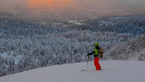 Photo de la montagne en haut une vue plongeante sur de s sapins et en bas de l'image de la neige avec un skieur en bas à droite